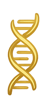 DNA Icon